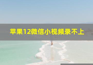 苹果12微信小视频录不上