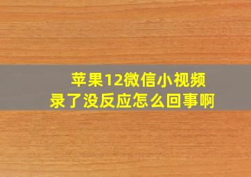 苹果12微信小视频录了没反应怎么回事啊