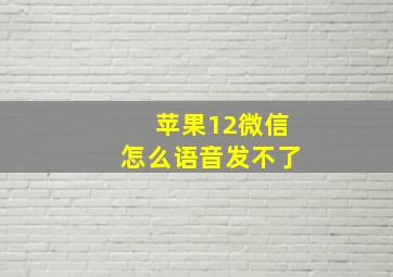 苹果12微信怎么语音发不了