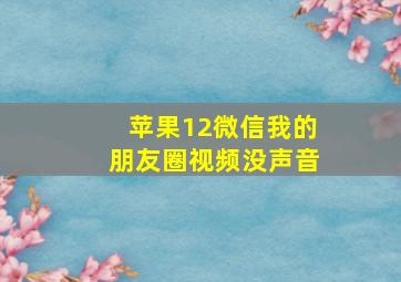 苹果12微信我的朋友圈视频没声音