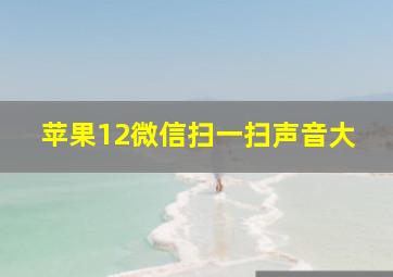 苹果12微信扫一扫声音大