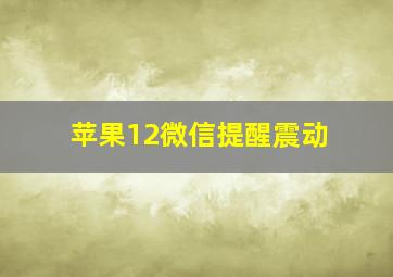 苹果12微信提醒震动