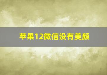 苹果12微信没有美颜