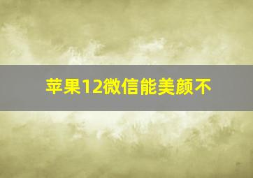 苹果12微信能美颜不