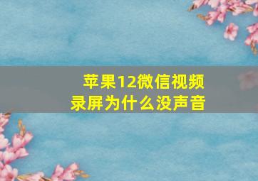 苹果12微信视频录屏为什么没声音