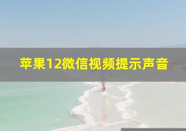 苹果12微信视频提示声音