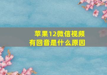 苹果12微信视频有回音是什么原因