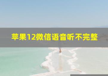 苹果12微信语音听不完整