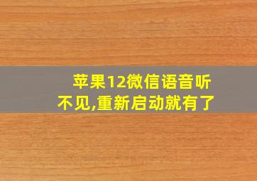 苹果12微信语音听不见,重新启动就有了