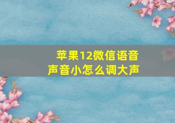 苹果12微信语音声音小怎么调大声