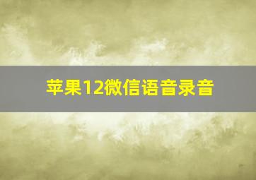 苹果12微信语音录音