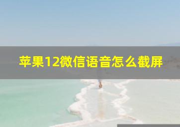 苹果12微信语音怎么截屏