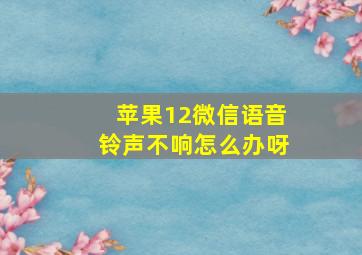 苹果12微信语音铃声不响怎么办呀