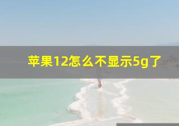 苹果12怎么不显示5g了