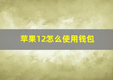 苹果12怎么使用钱包