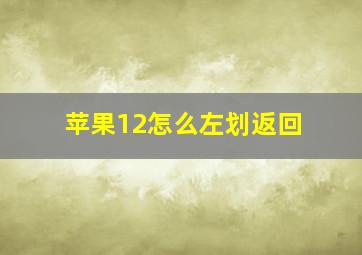 苹果12怎么左划返回