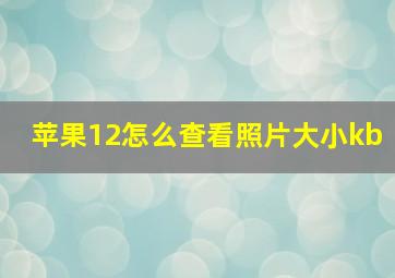 苹果12怎么查看照片大小kb