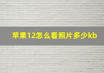 苹果12怎么看照片多少kb