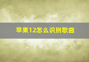 苹果12怎么识别歌曲