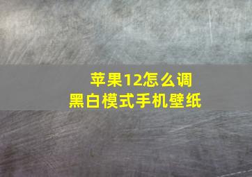 苹果12怎么调黑白模式手机壁纸