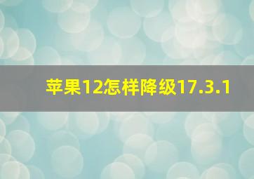 苹果12怎样降级17.3.1