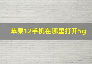 苹果12手机在哪里打开5g