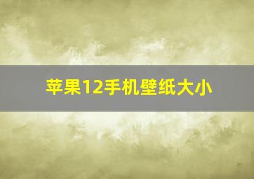 苹果12手机壁纸大小