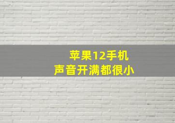 苹果12手机声音开满都很小