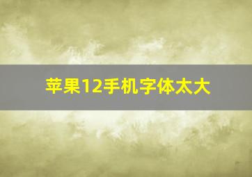 苹果12手机字体太大