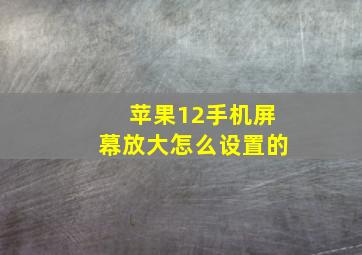 苹果12手机屏幕放大怎么设置的