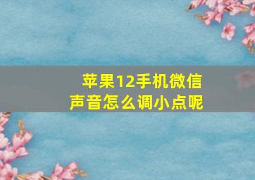 苹果12手机微信声音怎么调小点呢