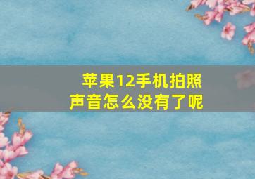 苹果12手机拍照声音怎么没有了呢