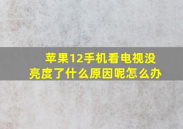 苹果12手机看电视没亮度了什么原因呢怎么办