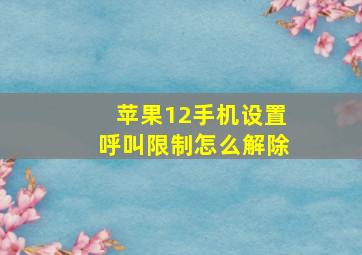 苹果12手机设置呼叫限制怎么解除