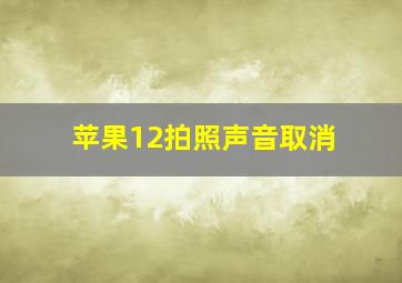 苹果12拍照声音取消