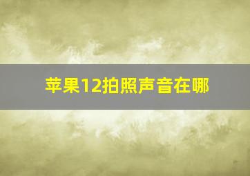 苹果12拍照声音在哪