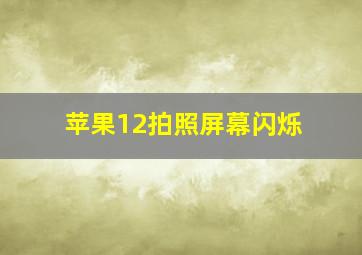 苹果12拍照屏幕闪烁