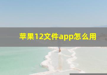 苹果12文件app怎么用