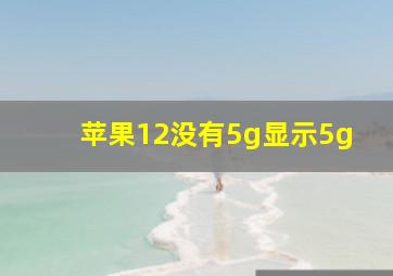 苹果12没有5g显示5g