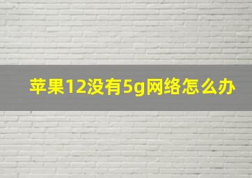 苹果12没有5g网络怎么办