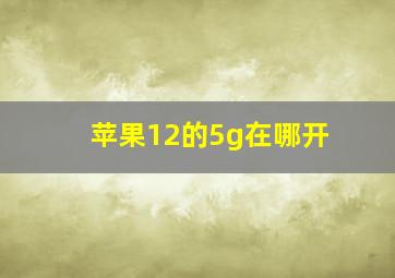 苹果12的5g在哪开