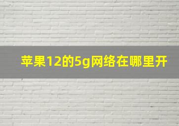 苹果12的5g网络在哪里开