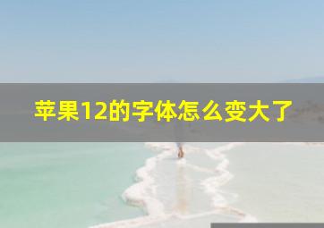 苹果12的字体怎么变大了