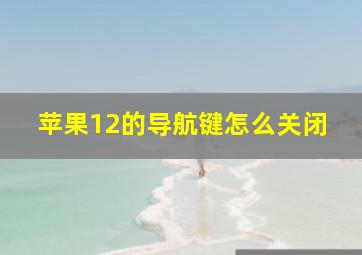 苹果12的导航键怎么关闭