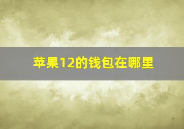 苹果12的钱包在哪里