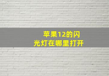 苹果12的闪光灯在哪里打开