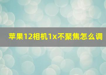 苹果12相机1x不聚焦怎么调