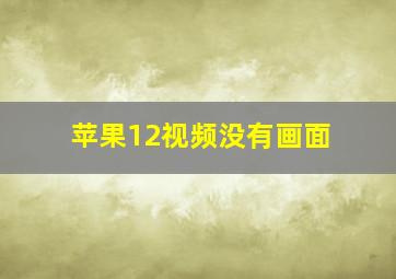 苹果12视频没有画面