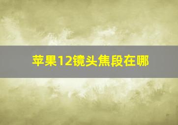 苹果12镜头焦段在哪