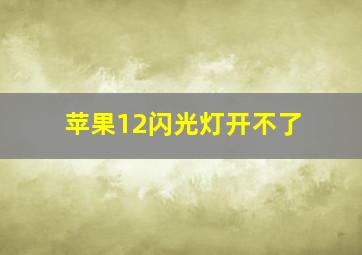 苹果12闪光灯开不了